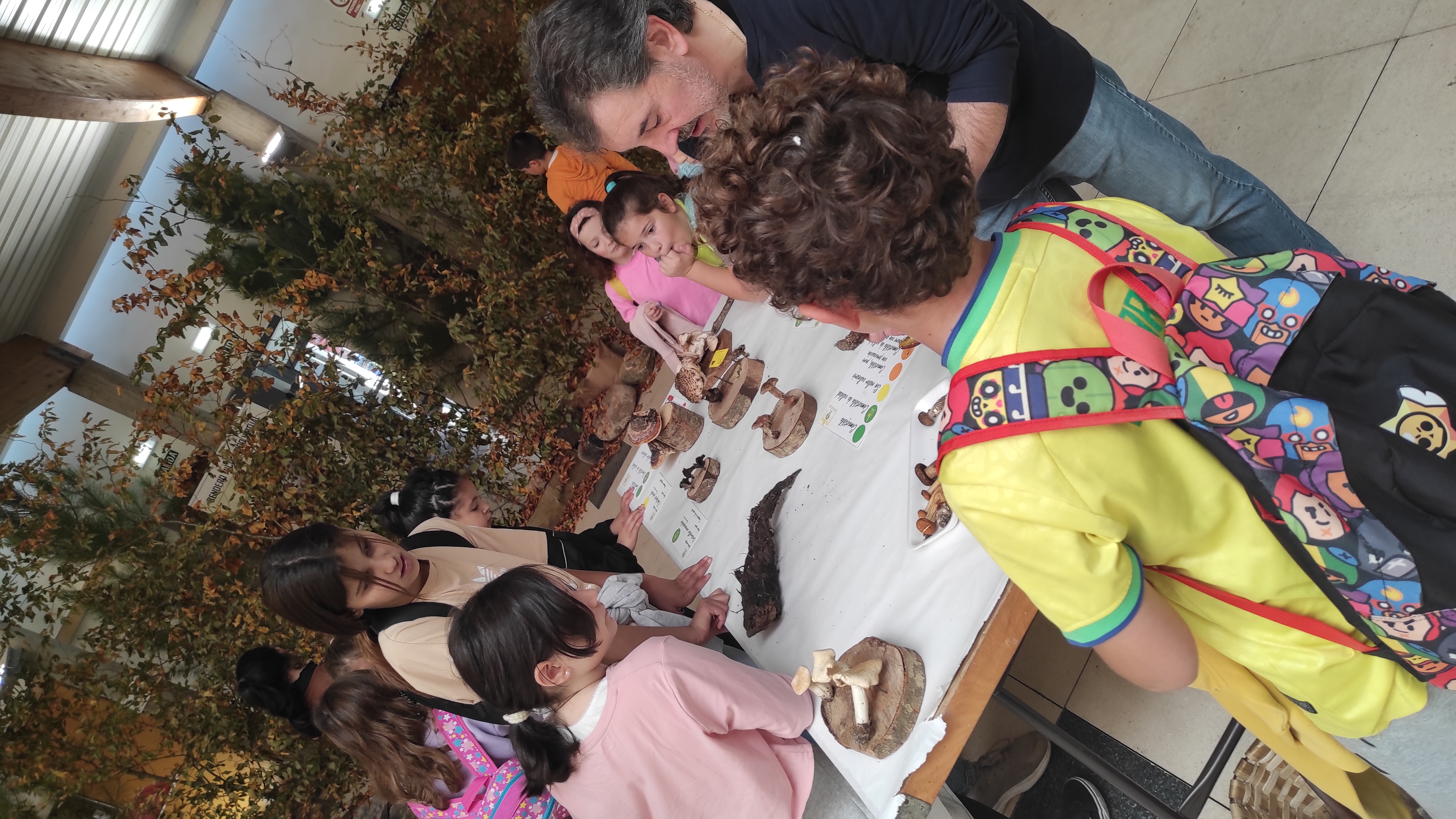 Copia de IMG_20251030_123149.jpg